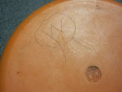 IMG_1793.jpg