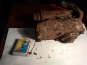 IMG_20180331_190122[1].jpg