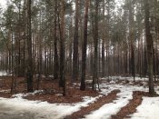 IMG_0971.JPG
