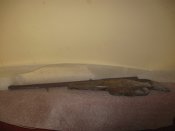 IMG_8615.JPG