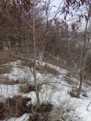 IMG_20180401_095113.jpg