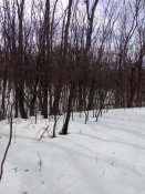 IMG_20180401_112934.jpg