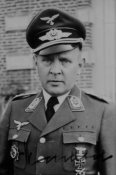 Wachtel.jpg