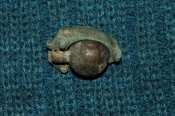 DSC_4943.JPG