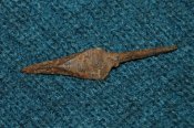 DSC_4996.JPG