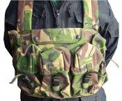 PLCE-DPM-CHEST-RIG.jpg