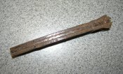 P1010004.JPG
