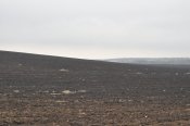 IMG_0000.JPG