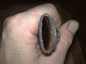29042012861.jpg
