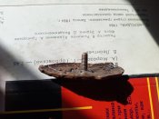 Гвардия боевая 7