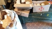20180404_082119.jpg