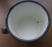 IMAG3278-1.jpg