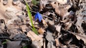 DSC03942.JPG
