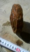 DSC00012.JPG