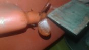 20180404_195545.jpg