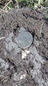 20180405_170220.jpg
