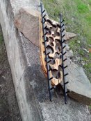 IMG_20180406_161517.jpg