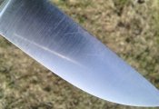IMG_20180404_171703.jpg