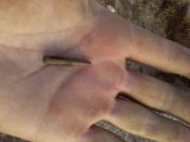 IMG_20180405_175602.jpg