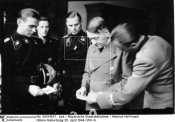 50041937.jpg