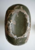 DSCN7047.jpg