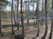 101_8429.jpg