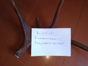 IMG_20180407_124935.jpg