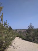 IMG_20180407_141716.jpg