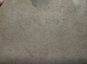 P80408-200455(1).jpg