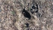 20180408_160200.jpg