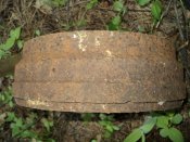DSC00177.jpg