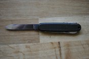 _DSC0113.jpg