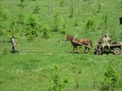 IMG_3730.jpg