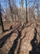 IMG_20180409_100413.jpg