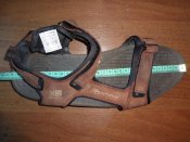 DSC08203.JPG