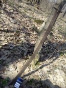 IMG_20180407_094848.jpg