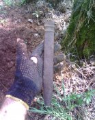 IMG1907A.jpg