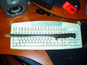PICT0464.jpg