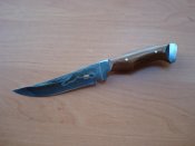 DSC09339.jpg