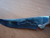 DSC09340.jpg