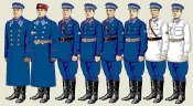 Петлицы РКМ НКВД