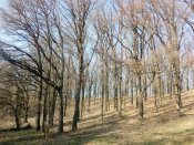 IMG_20180409_171059.jpg