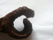 P4101061.JPG