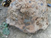 SDC12045.jpg