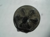 DSC00031.jpg