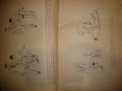 DSC06705.JPG