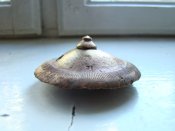 DSC05442.JPG