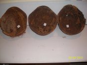 100_4086.jpg