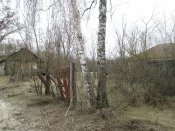 Полесье 019.JPG