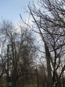 Полесье 051.JPG